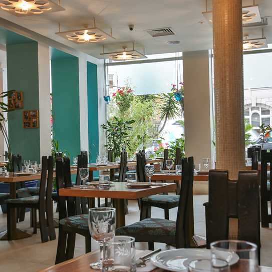 Tas Bloomsbury Interior 6