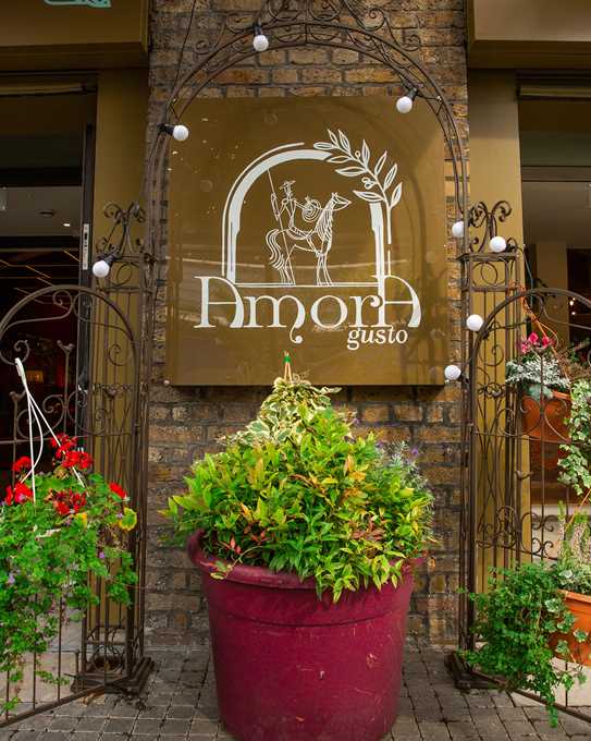Amora Gusto 01