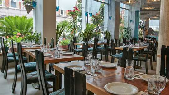 Tas Bloomsbury Interior 02